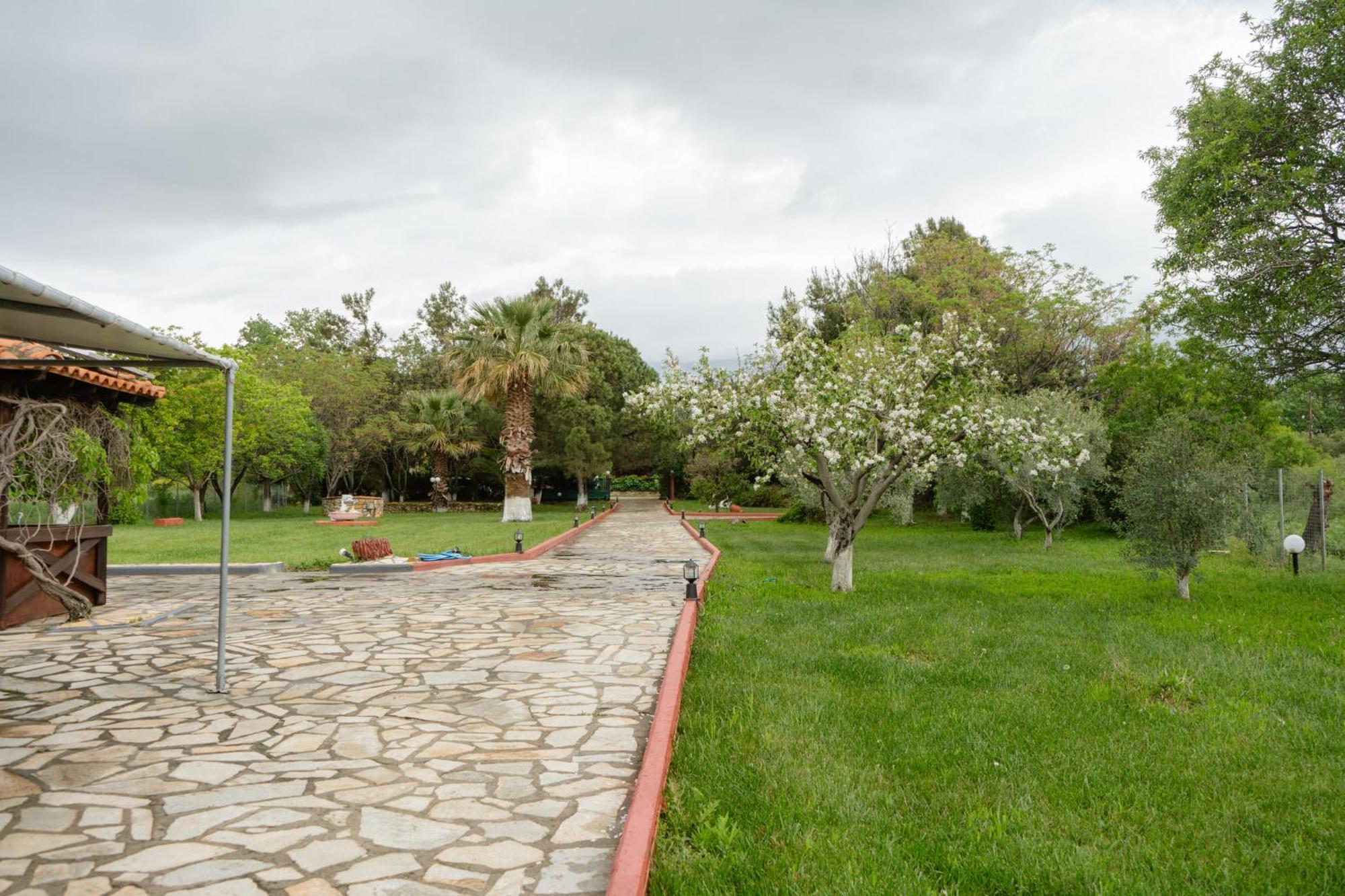 Evdokia's House *