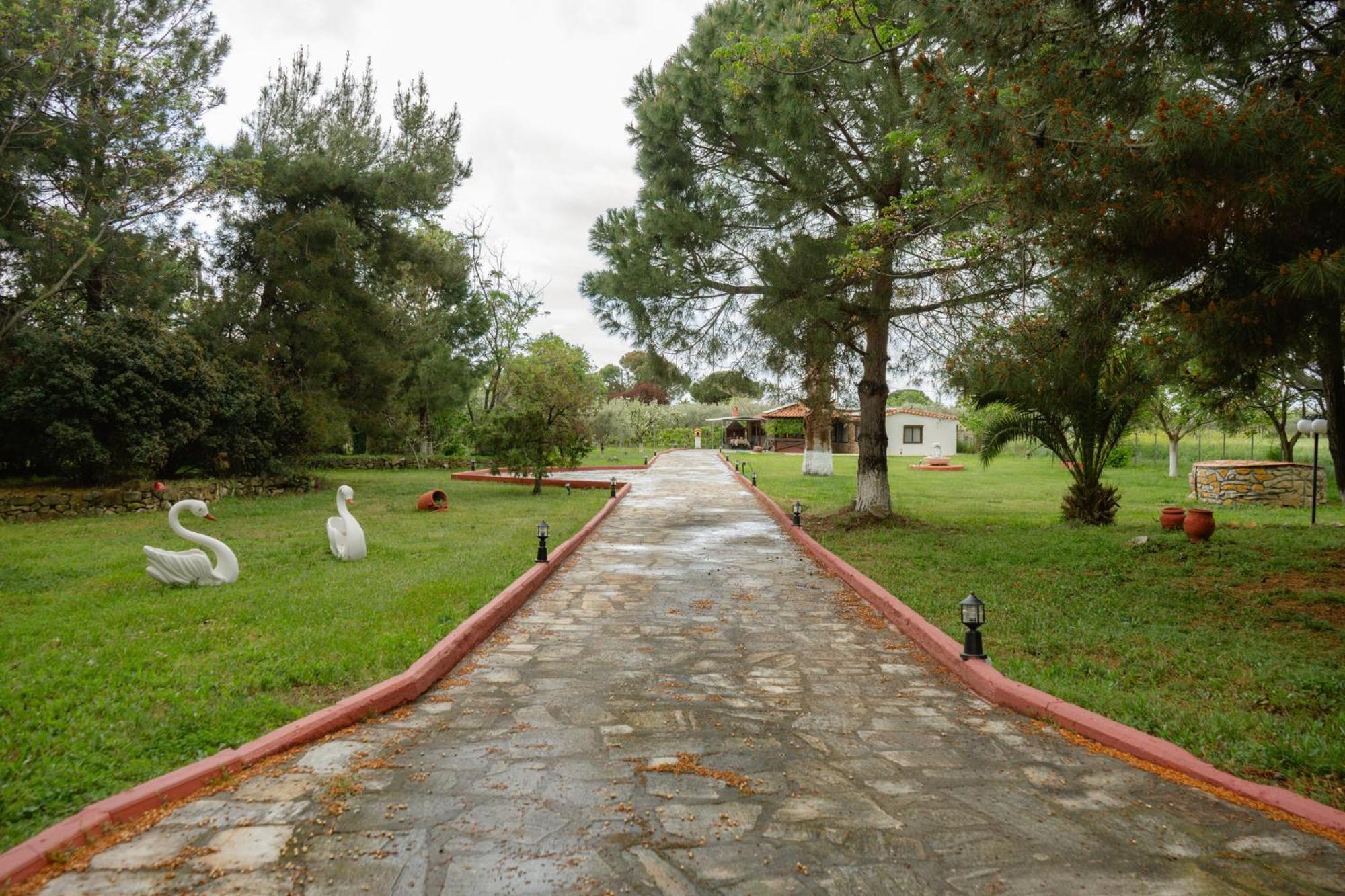 Evdokia's House * Dikella
