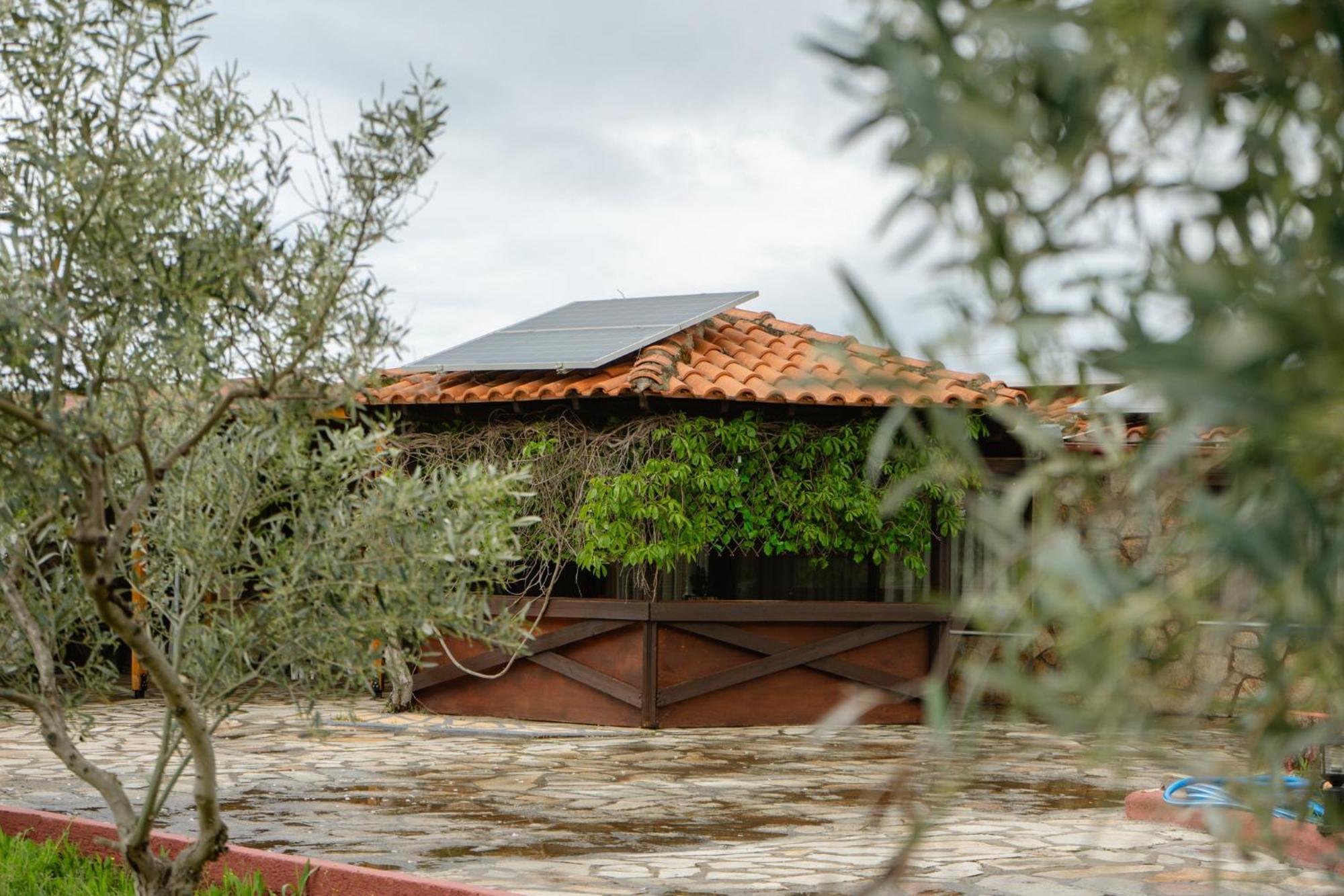 Evdokia's House Holiday home