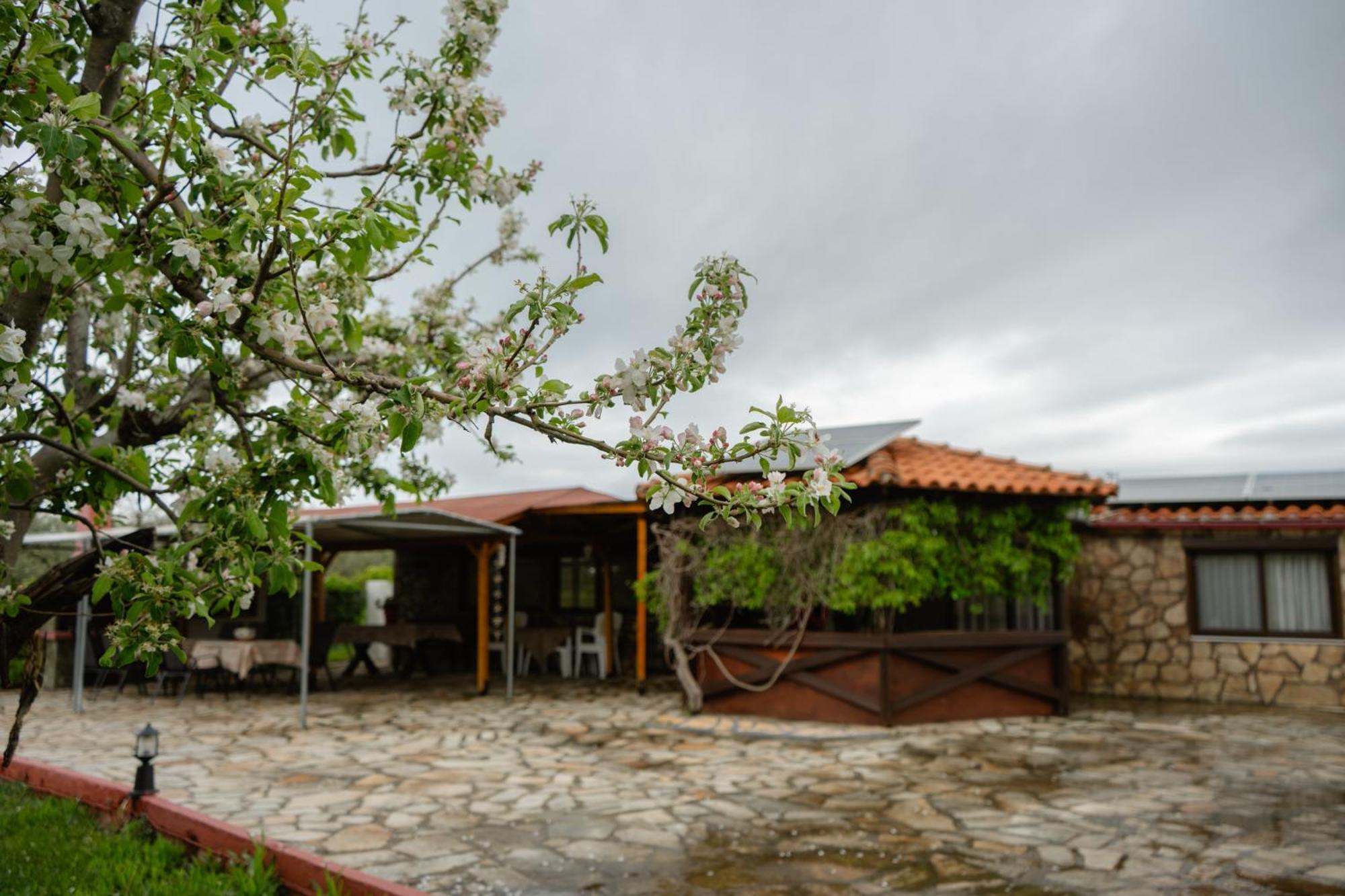 Evdokia's House Holiday home