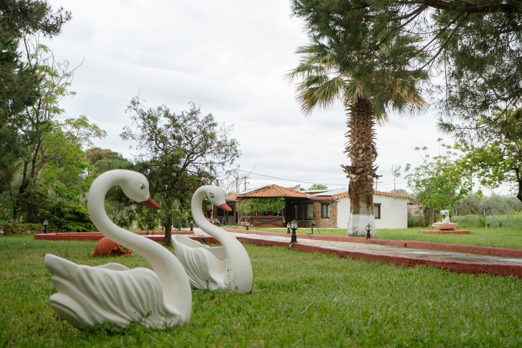 Evdokia's House Holiday home Dikella