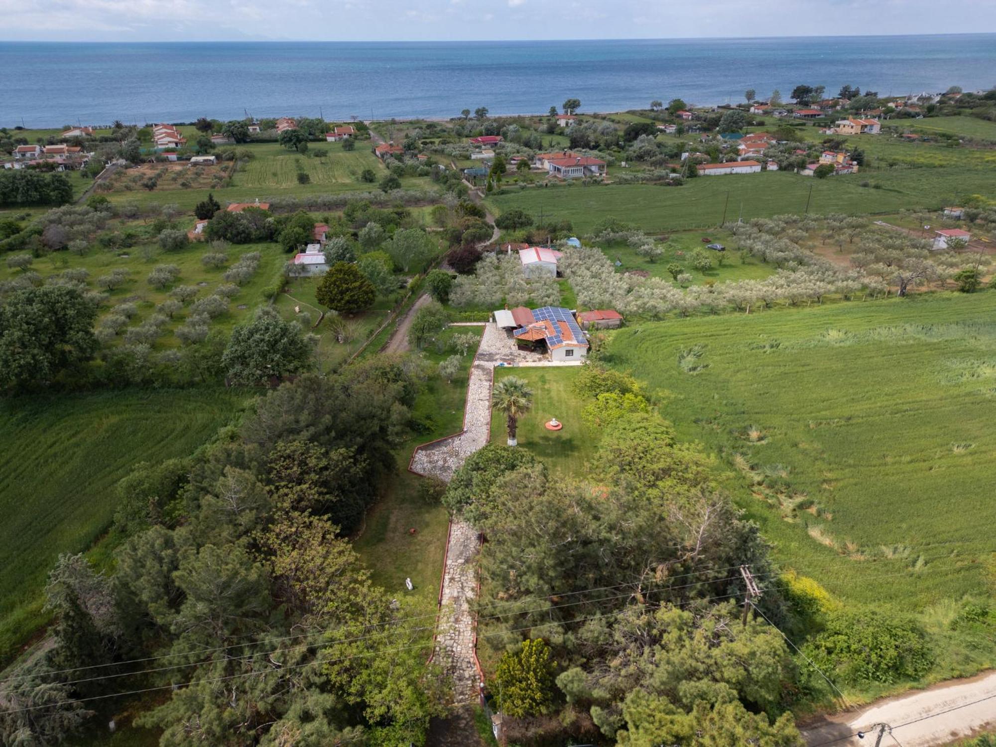 Evdokia's House
